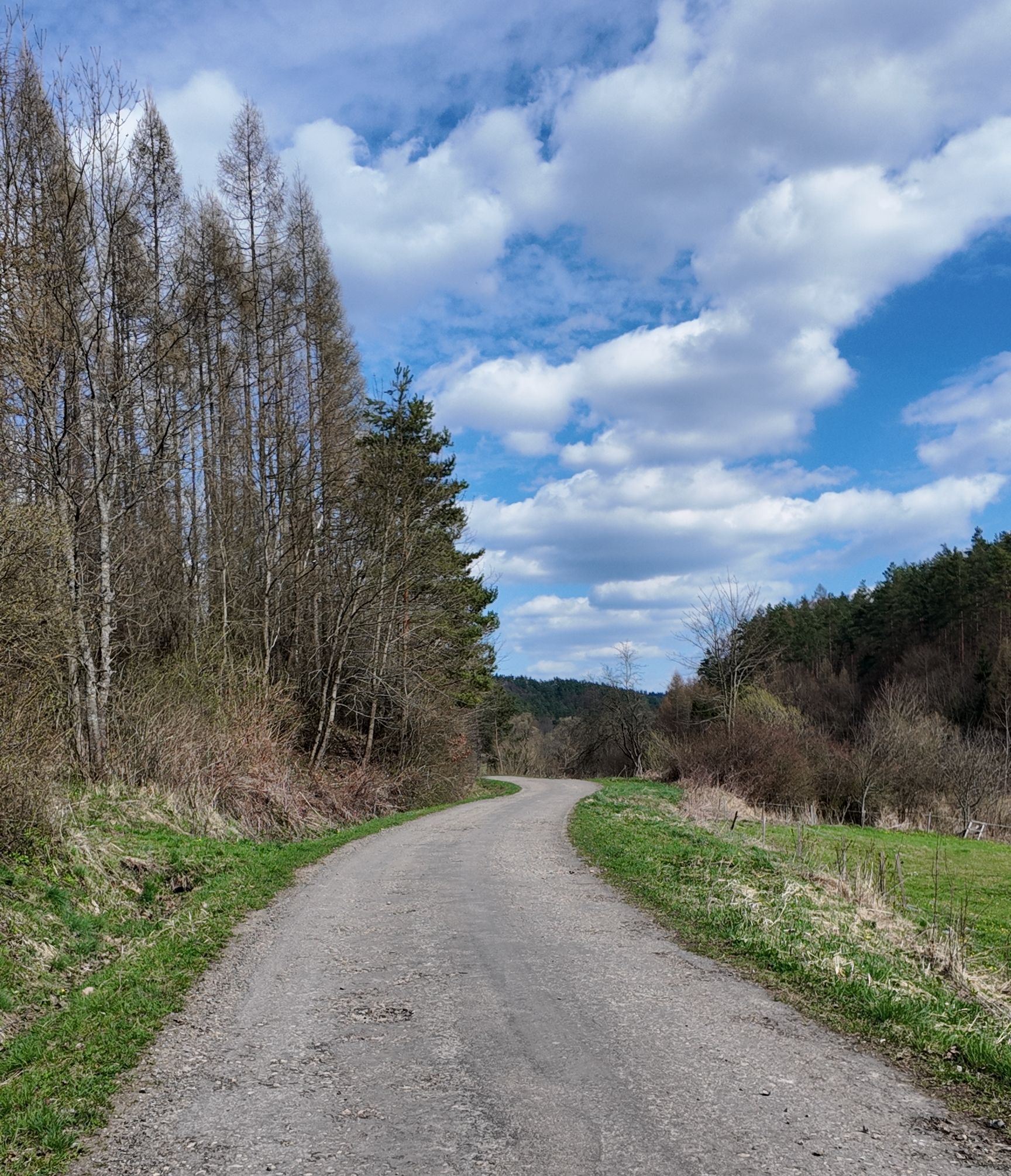 Mrzygłód MTB