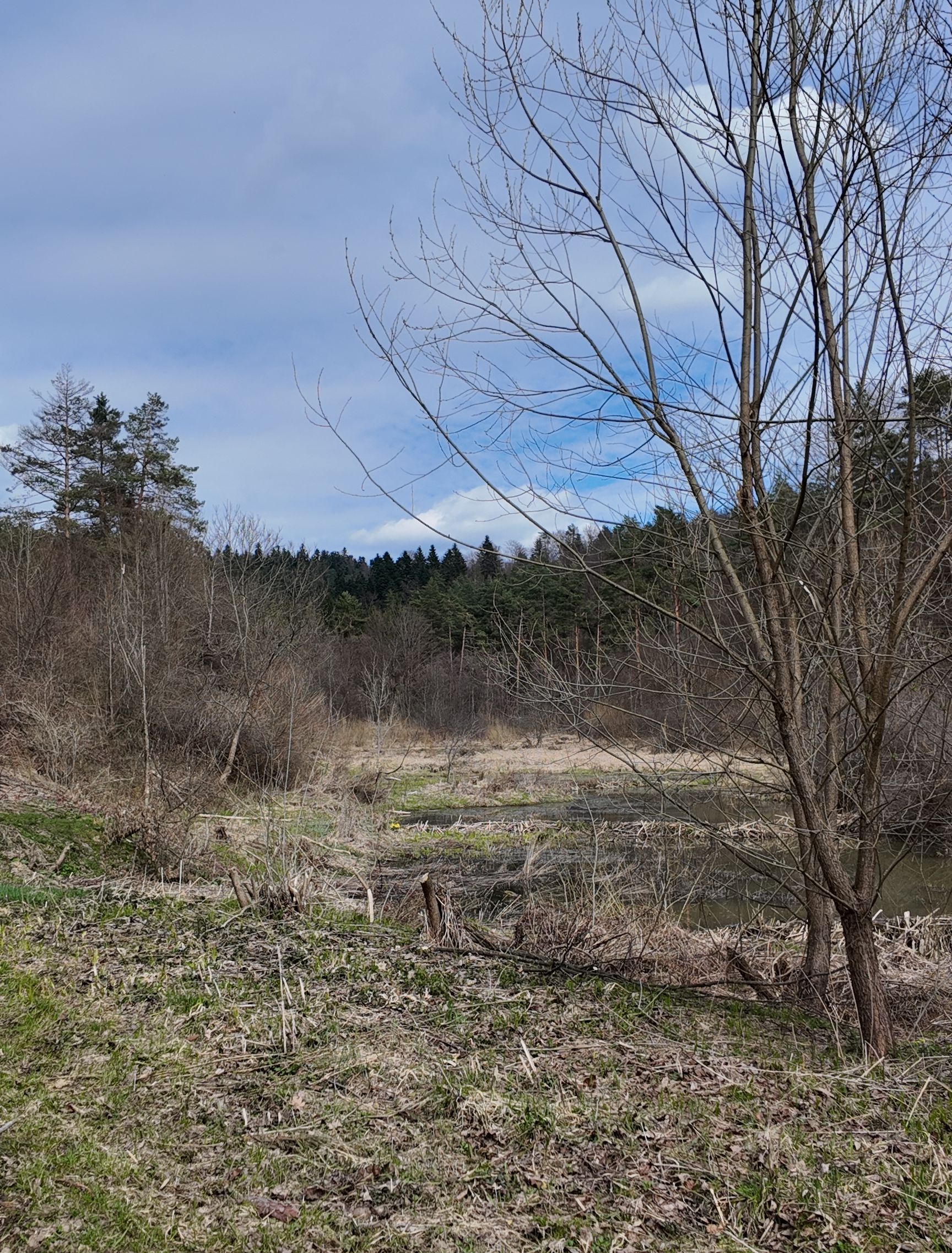 Mrzygłód MTB