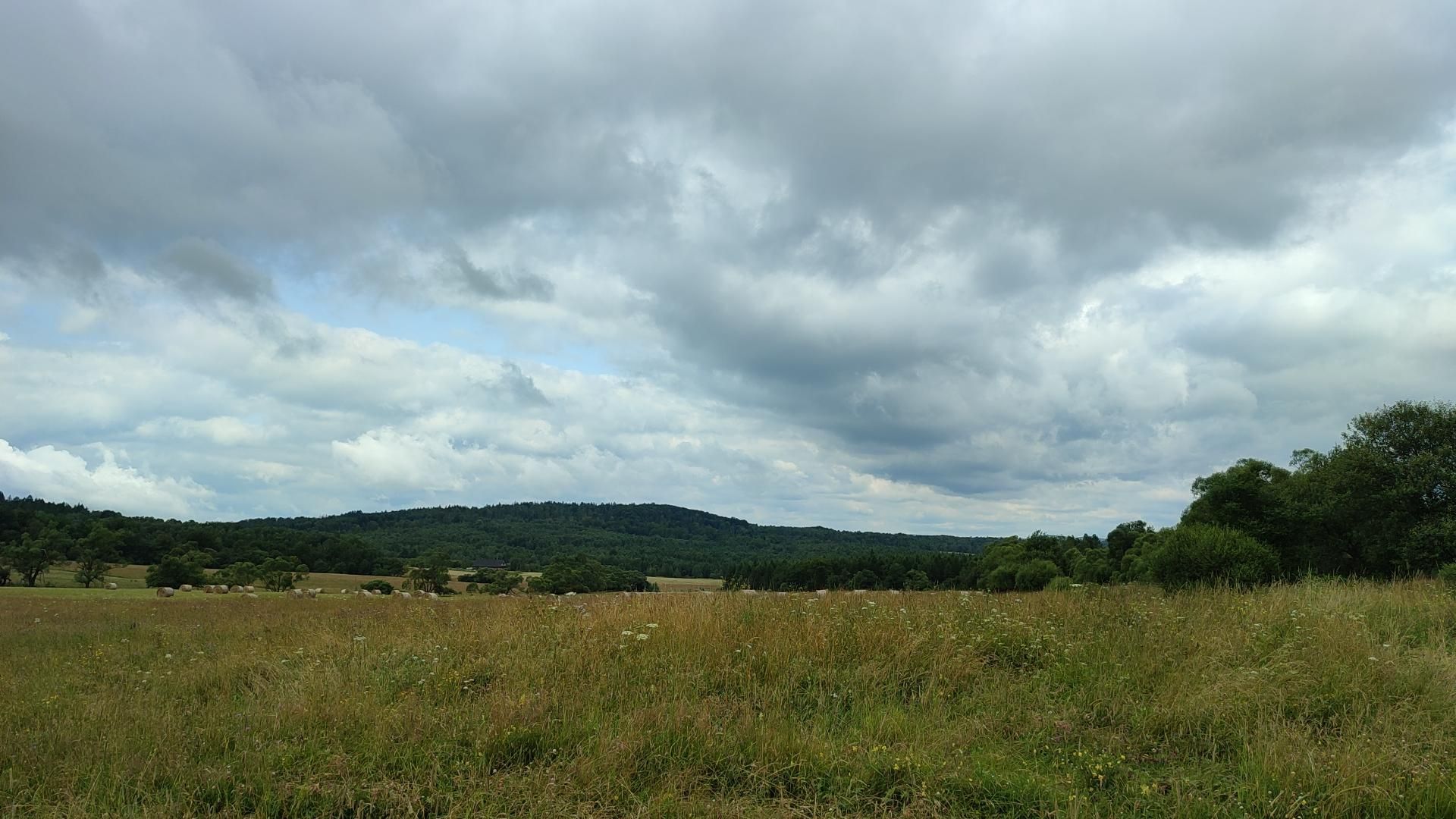 Jaśliska - Medzilaborce - Jasiel - Jaśliska