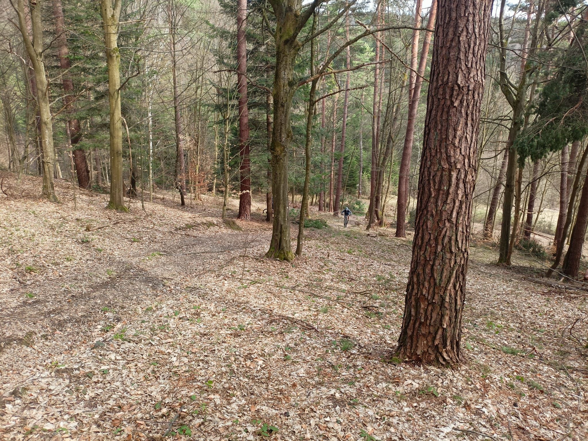 Mrzygłód MTB 2