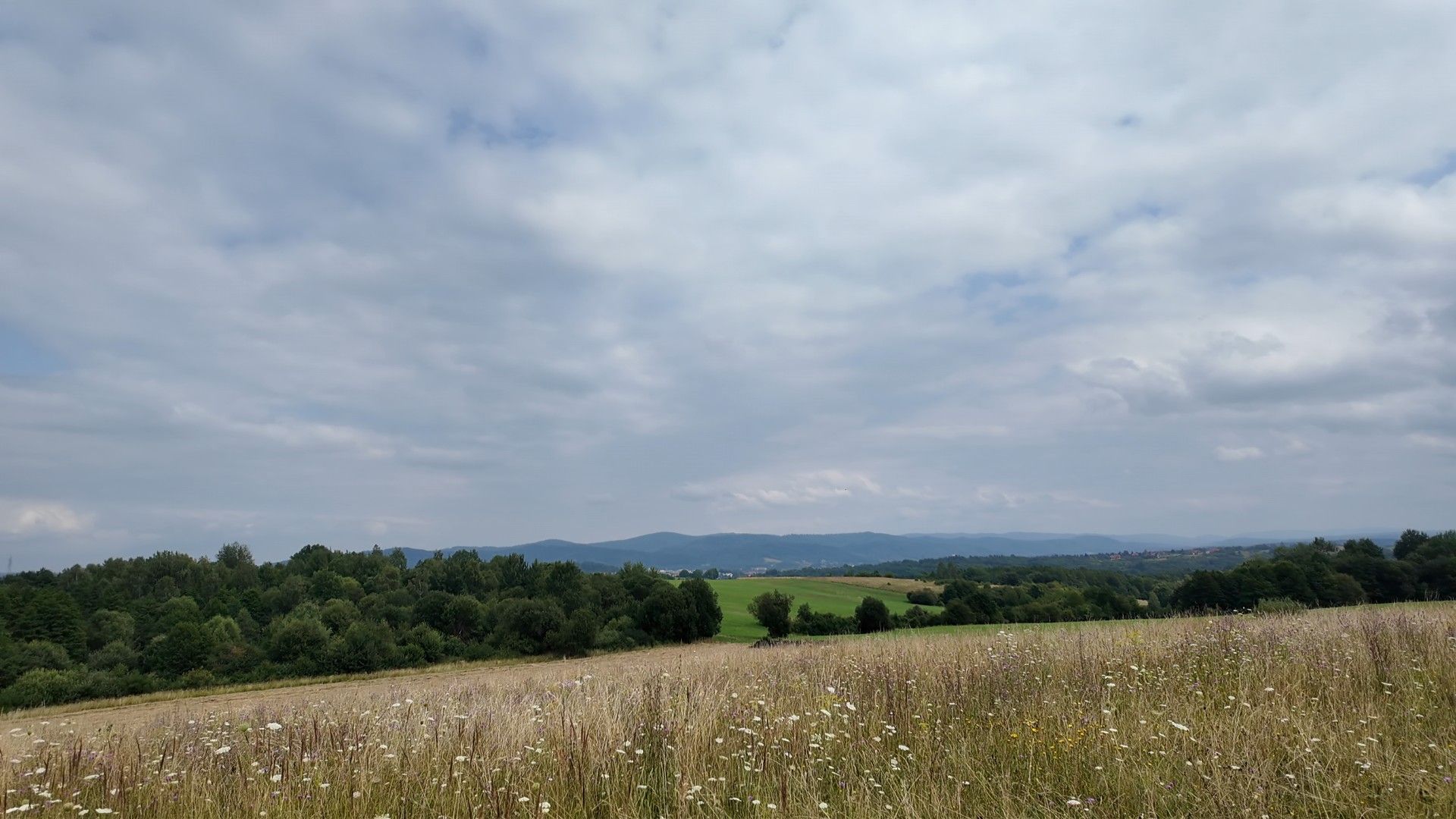 Czerteż - Płowce - Sanok - Czerteż